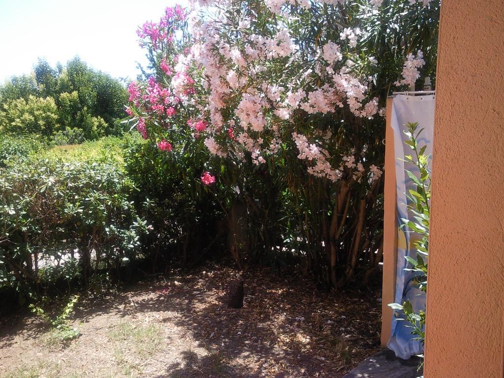 Monolocale San Teodoro Apartman Szoba fotó